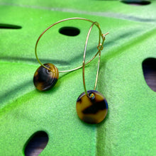Load image into Gallery viewer, Tortoise Shell Disc on Gold Hoops

